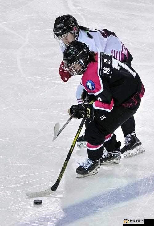 尾巴插件 play 冰球玩家评价：精彩冰球之旅的玩家反馈