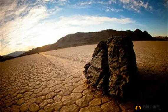 无人区编码 6229：刘乐观天下事