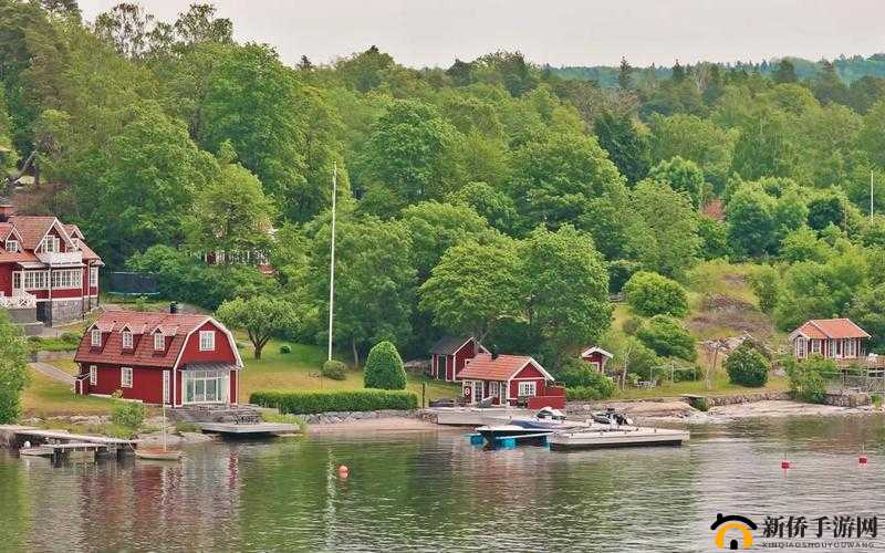 一卡二卡三四卡无卡仙踪林精彩：体验极致视觉盛宴