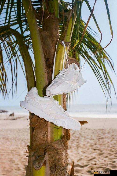 aj 技巧视频教程：高清图片展示制作全过程