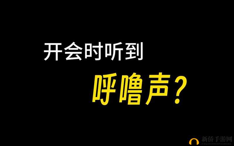 开会时，声音：一直放里面