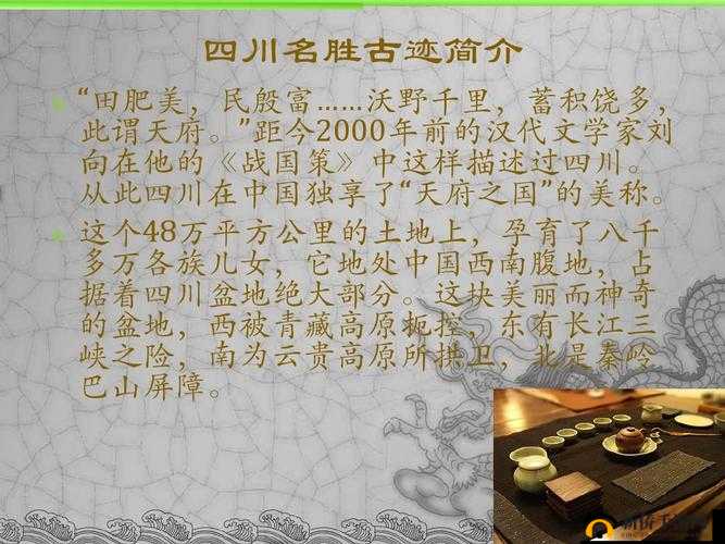 四川 XXXXXLm：关于它的介绍