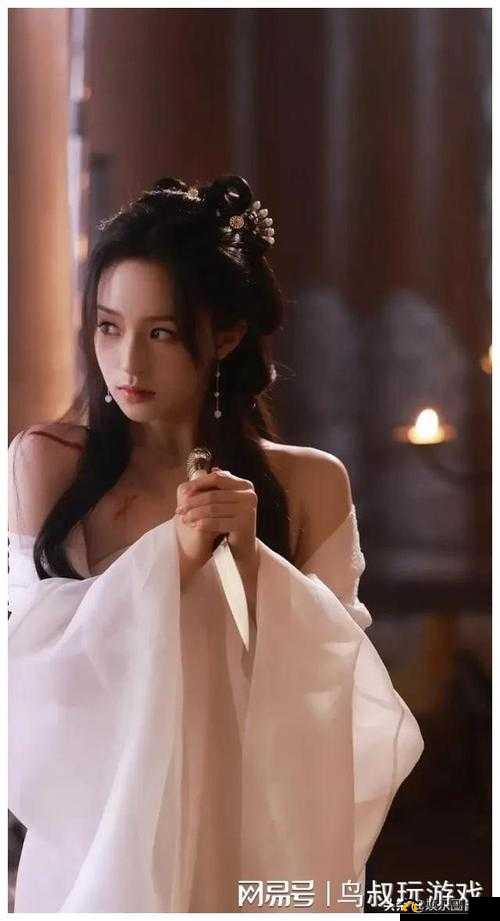 权臣 hlH 将军皇上：权力之巅的纠葛