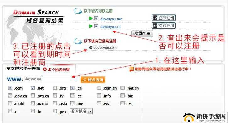 国外免费网站服务器查询功能介绍：详细指南