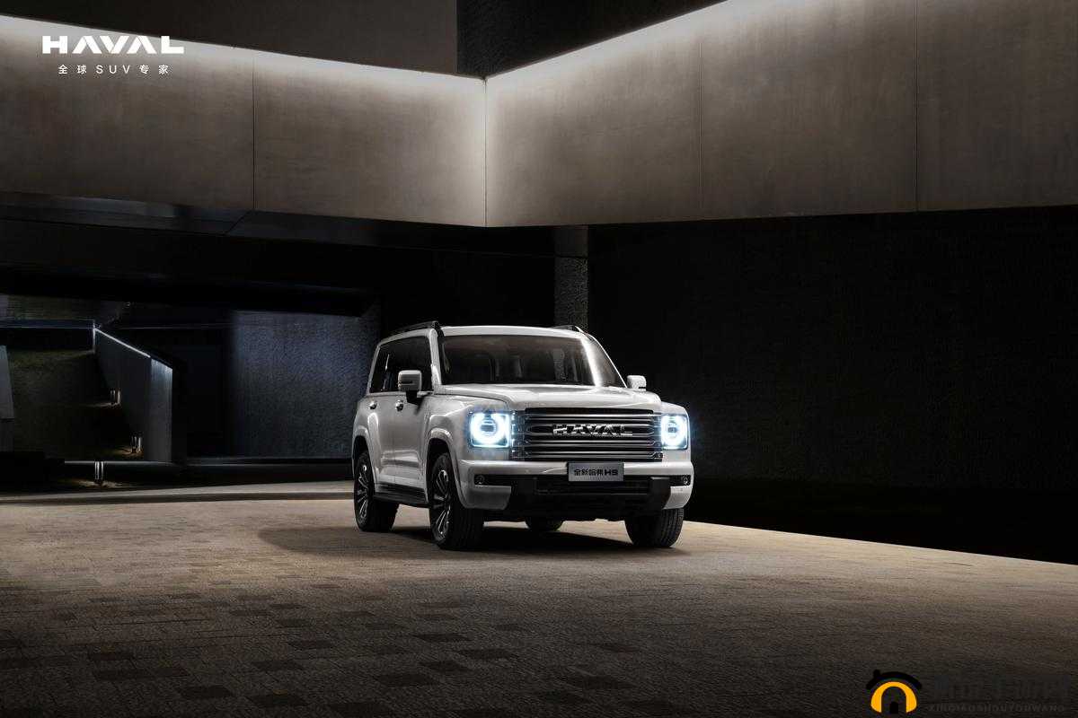 女子初尝黑人巨：叫声划破黑夜