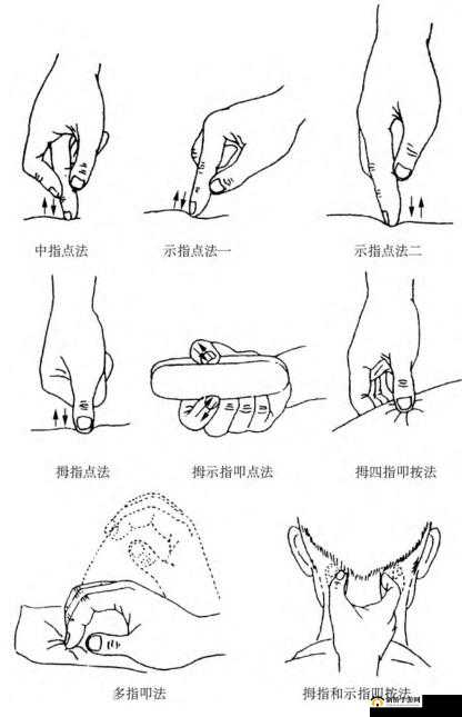 探索燕云声点穴玩法：探秘穴位之秘，尽享健康之乐