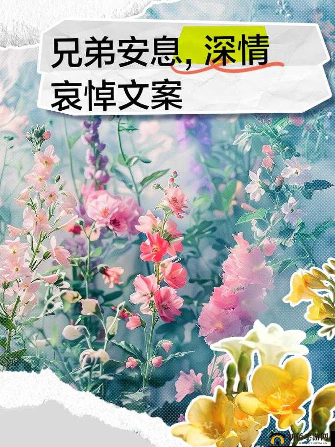 愿母亲安好，我们仍是好兄弟