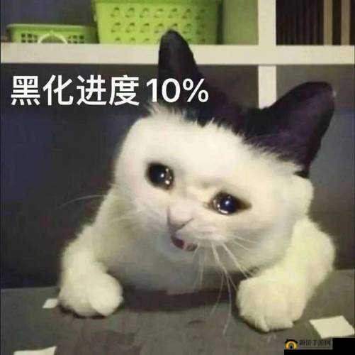 1300 部幼女五连鞭：挑战伦理道德底线