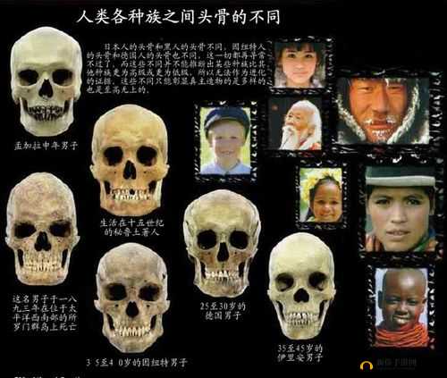 东亚人与欧美人情感区别探讨