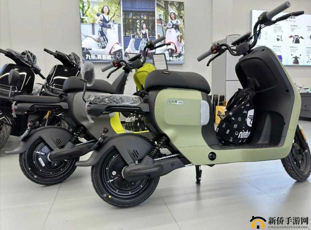 骚年老头视频：跨越年龄的奇妙旅程