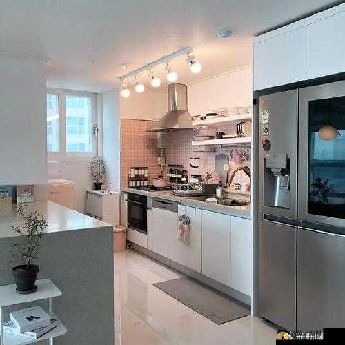 从厨房到客厅一直 C ：探寻神秘空间之旅