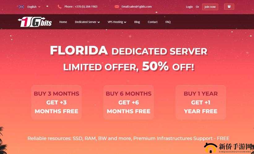 美国和欧洲 VPS：优质服务器之选