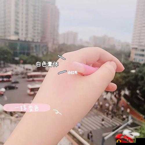 实力蜜丝婷大草莓和小草莓对比-谁更胜一筹