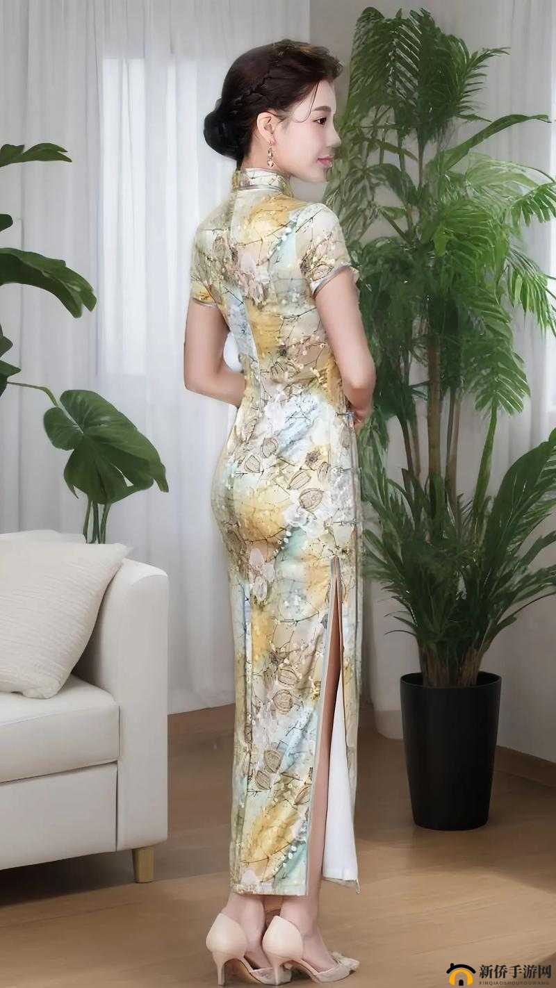 老师双开真丝旗袍施恩价格：旗袍之美