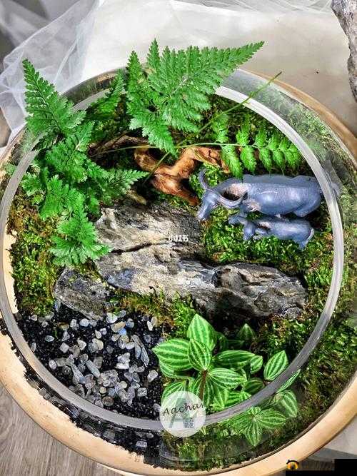 老牛吃嫩草一二三产品：差异何在？