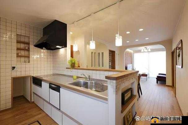 从厨房到客厅一路干：探索家居空间的别样乐趣
