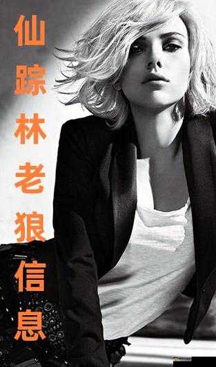 51大豆行情网仙踪林老狼广告介绍：相关内容解析