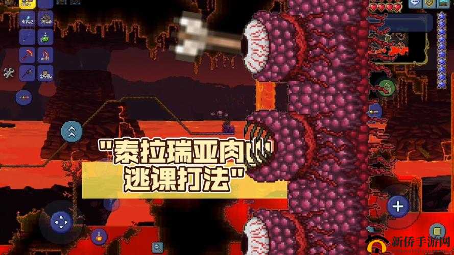 泰拉瑞亚肉山打法全攻略 从准备到战胜详细解读