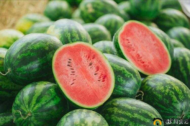 91 吃瓜中心-吃最新最火的瓜 让你一次吃个够