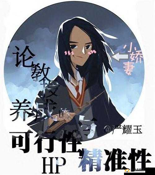 HP 论教授养成可行性与精准性泄露之殇