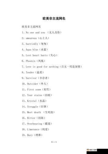 2024欧美个性情侣网名精选：独特魅力展现