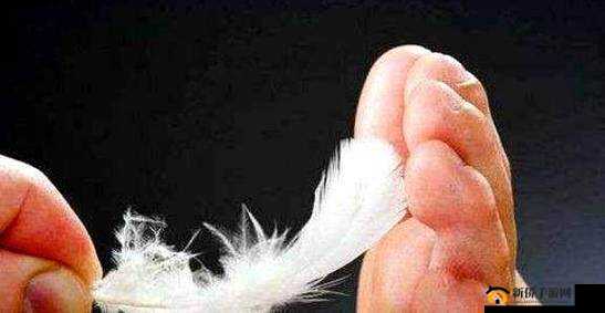 女孩子罪犯脚上涂蜂蜜放山羊：惊人举动背后的秘密