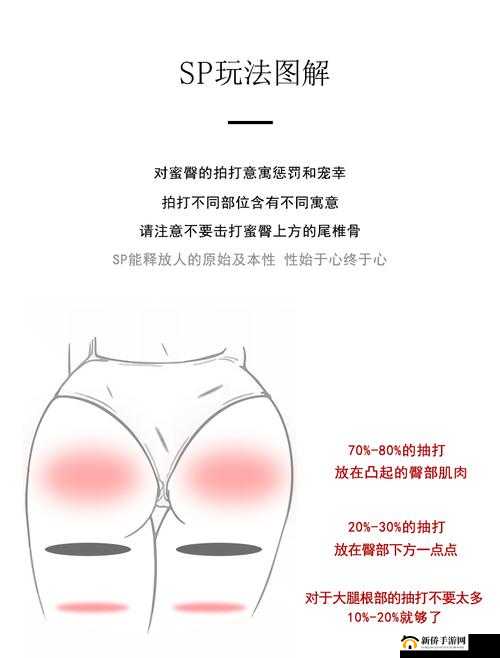 SP 标准惩罚是什么：严厉的行为规范