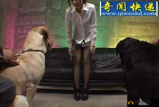 女人兽皇狗交：禁忌之爱