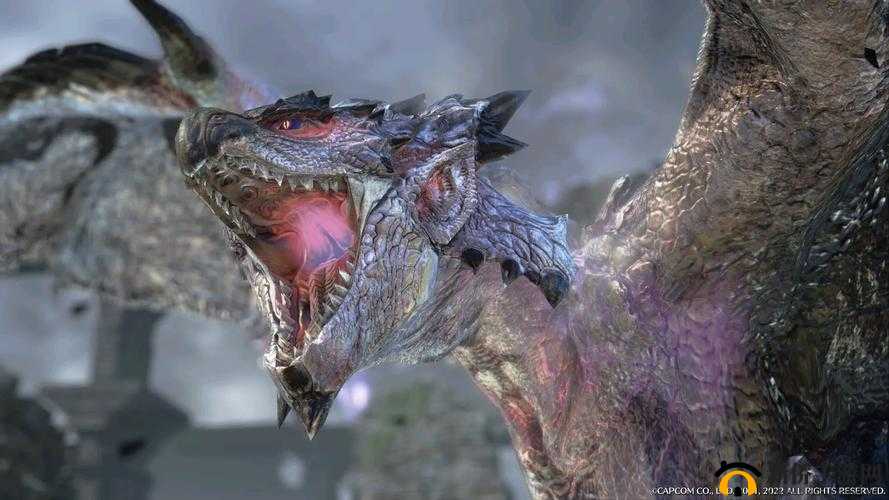 火龙的红玉究竟靠何种方式进行炼金才能成功