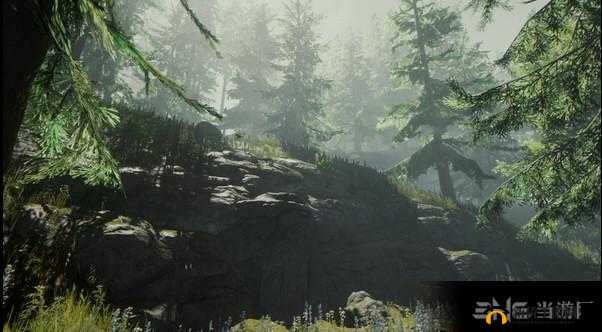《森林游戏：寻踪》——揭秘森林深处的神秘位置