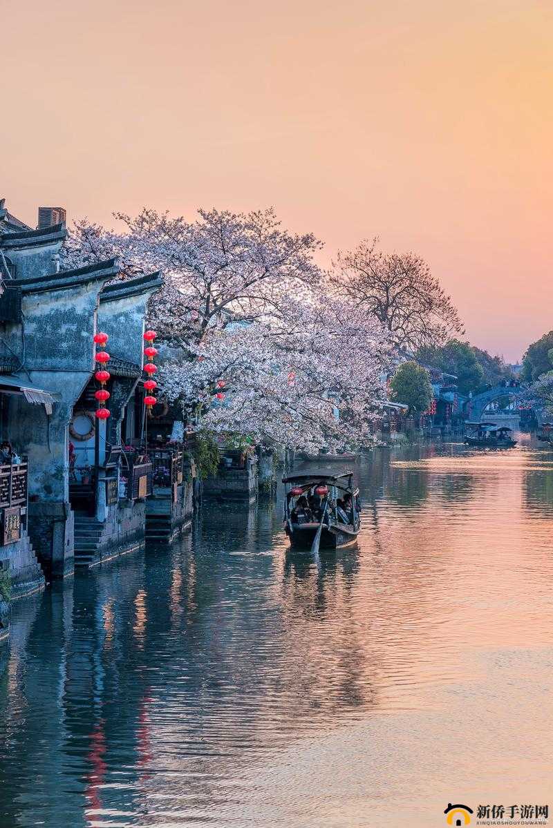 爱情岛网页：浪漫之旅的起点