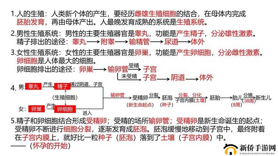 生物老师以自身为例讲解繁衍：人类生殖的奥秘