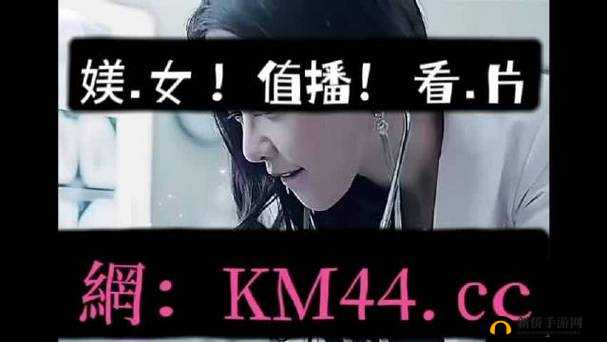 精品无人区码一码二码三码区别解析