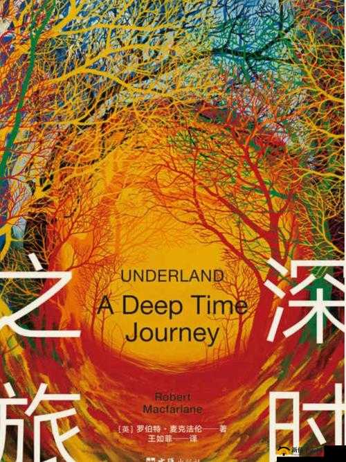 欧美二线：探寻未知的音乐魅力之旅