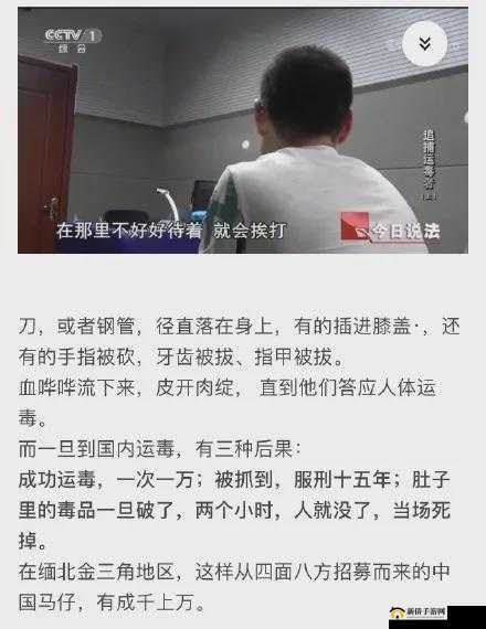 缅甸北部血腥网站免费进入：充斥暴力与犯罪的网络世界