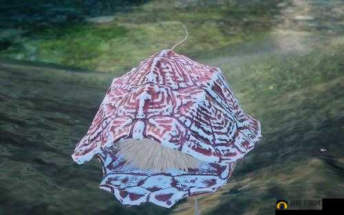 神舞幻想各毛球君在哪？所有17个毛球君出现地点览——探寻神秘生物的奇幻之旅