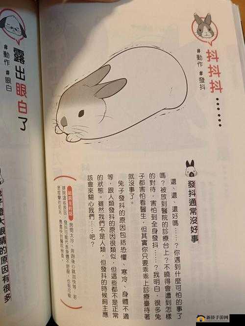 两只大兔子在衬衫里疯狂抖来抖去