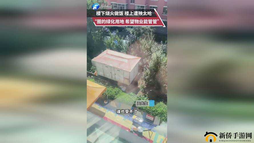 探秘成色好 P31S：背后的秘密