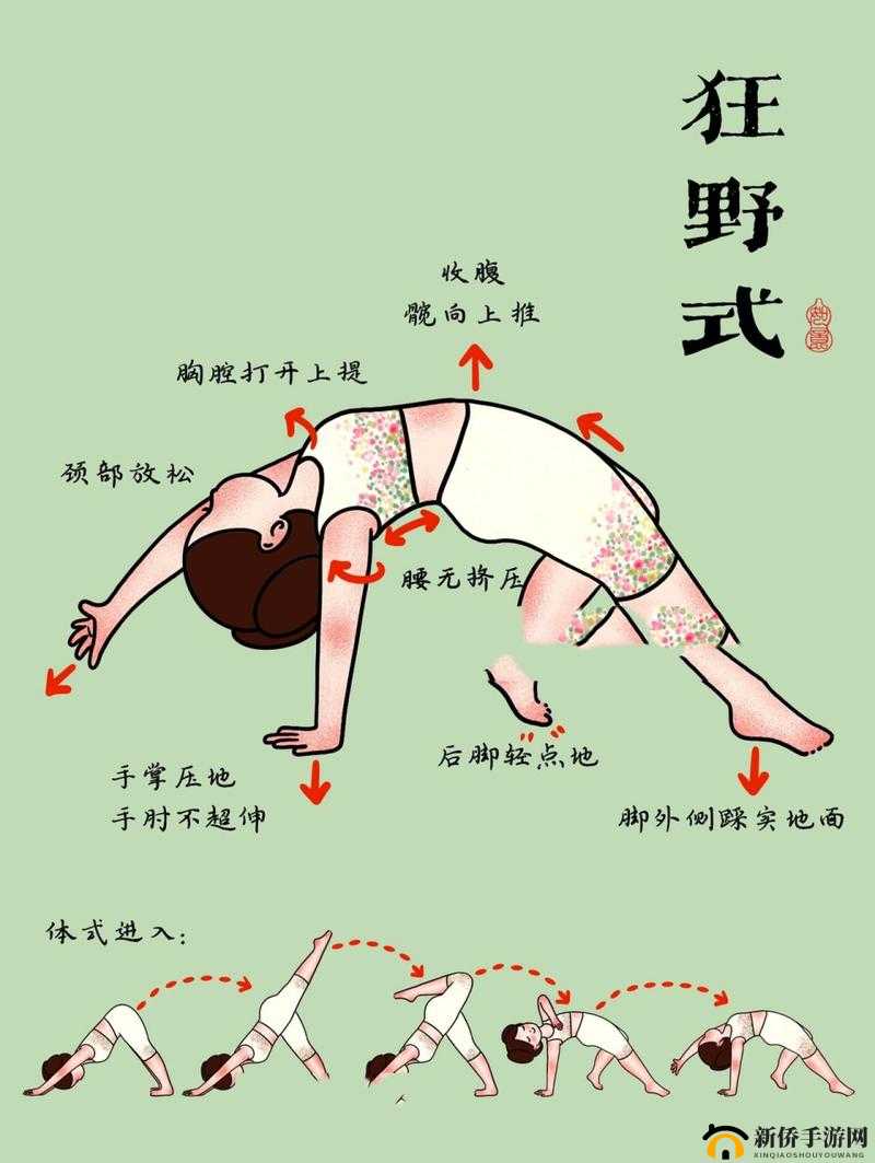 两种进入狂野式的方法有哪些-随时点播解答