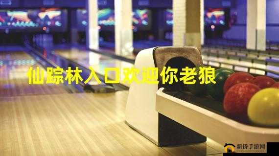 仙踪林官方网站欢迎你：开启梦幻之旅
