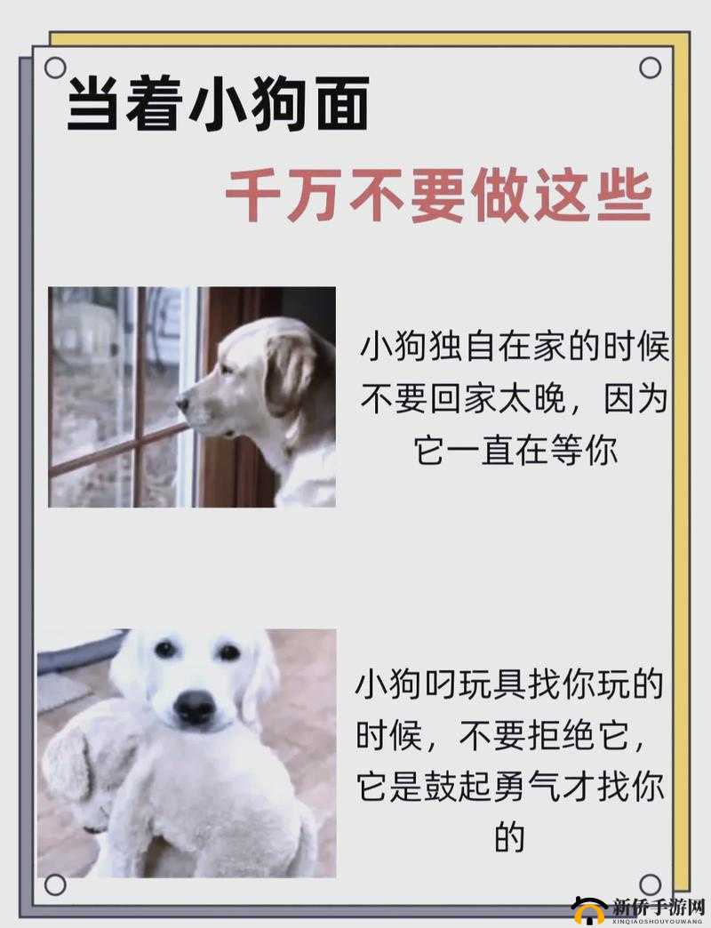 狗 Zoom 和人类 Zoom 哪个好之探讨