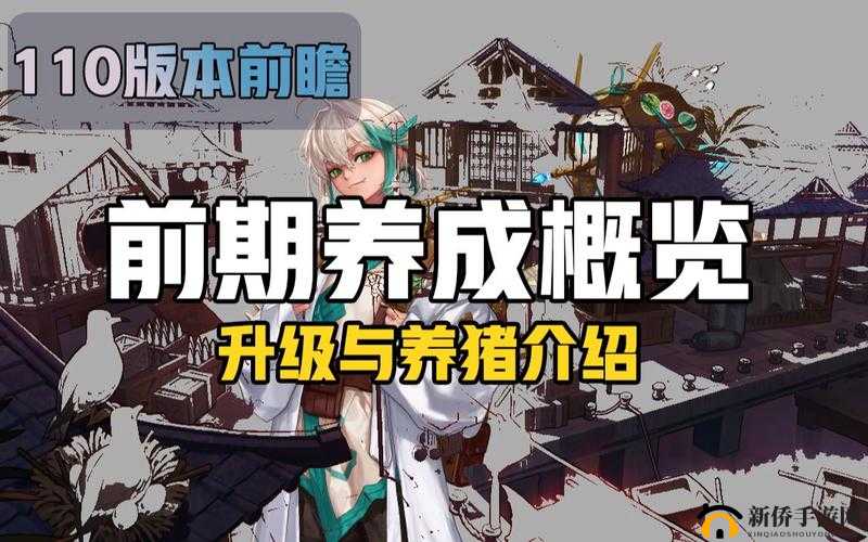 DNF养猪深层解析：养猪玩法含义与养猪号打造攻略