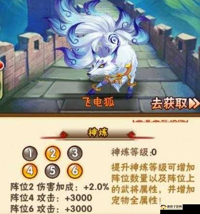 少年国志中的飞电狐神炼攻略：技能属性详解与神炼技巧揭秘