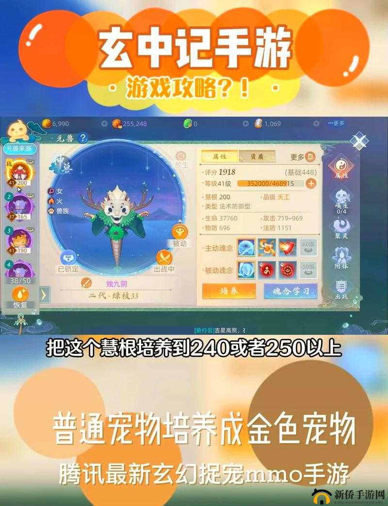 玄中记宠物玩法大揭秘：多样玩法带你领略宠物精彩世界