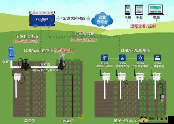 JINYE 灌溉系统助力高效农业发展