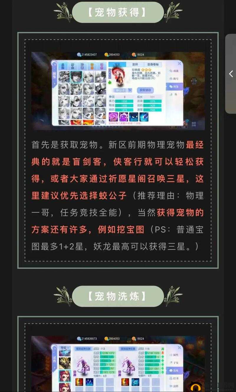桃花源记手游升级攻略：快速提升等级的方法与技巧