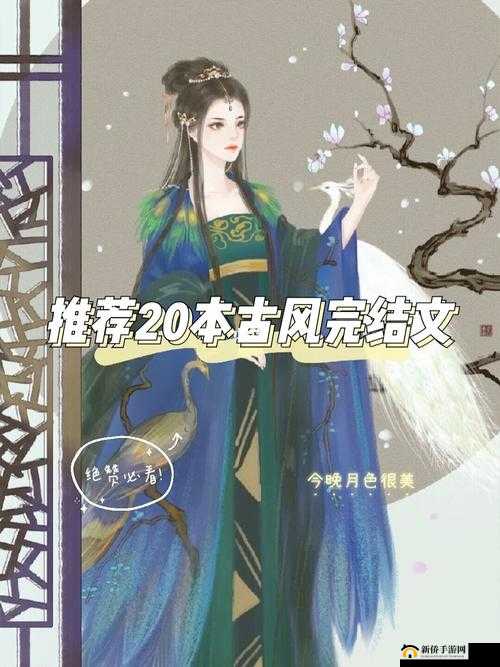 权臣 hlH 将军皇上：宫廷风云