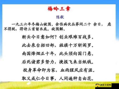 干了娄晓娥秦淮茹一血，傻柱悔恨终身