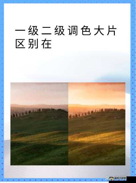 一级二级调色大片区别大吗：傻傻分不清