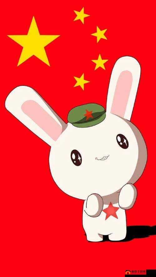 那兔之大国梦解密小R实现策略览，揭秘高效途径助力实现强国梦梦想实现新篇章